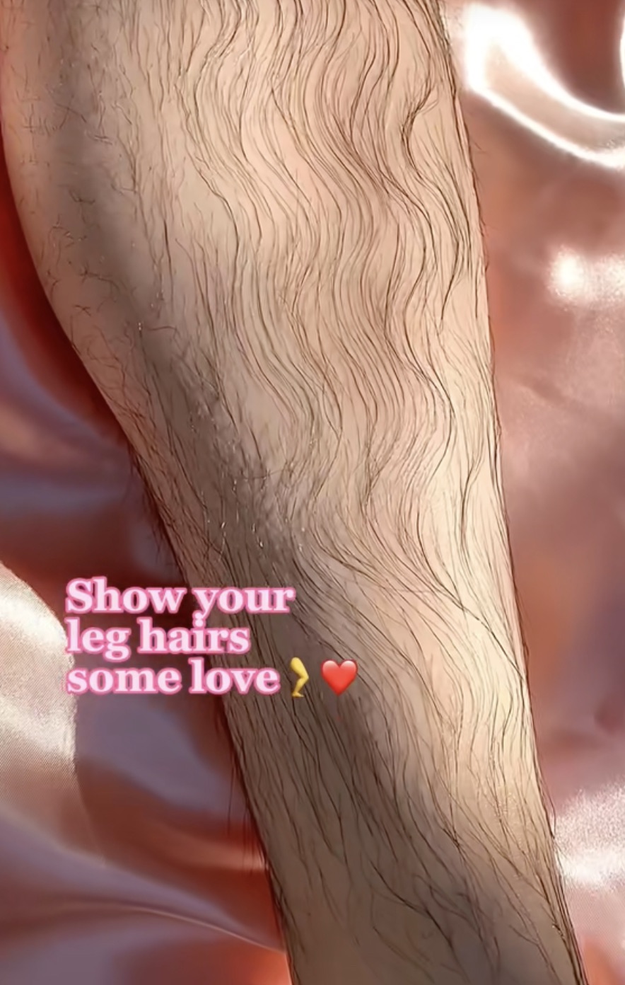 illustration - Show your leg hairs some love?